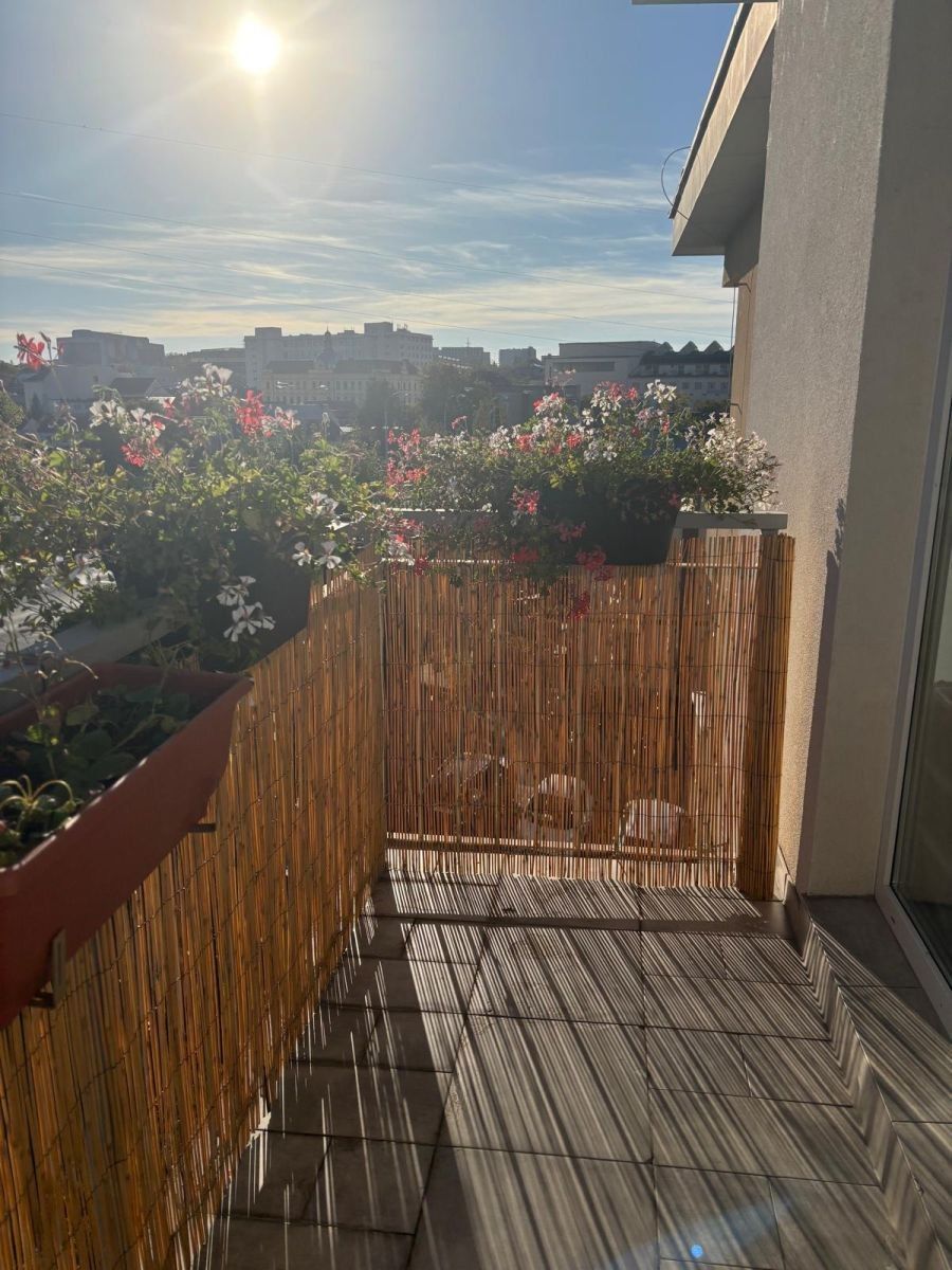 2+kk, Květná, Plzeň - Plzeň, Plzeňský kraj, 50 m² - 2