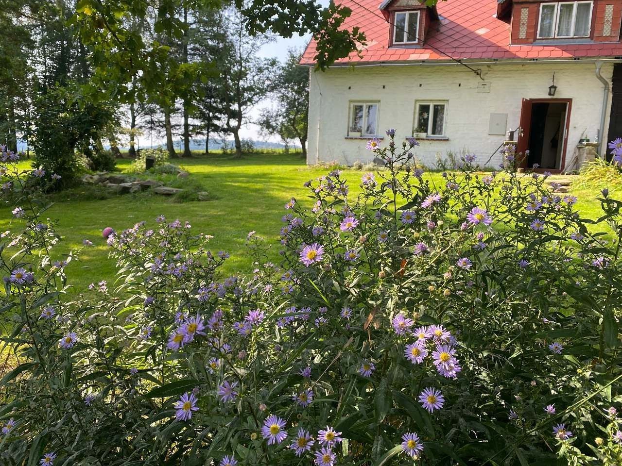 Chata · Horní Podluží, Ústecký kraj - 3