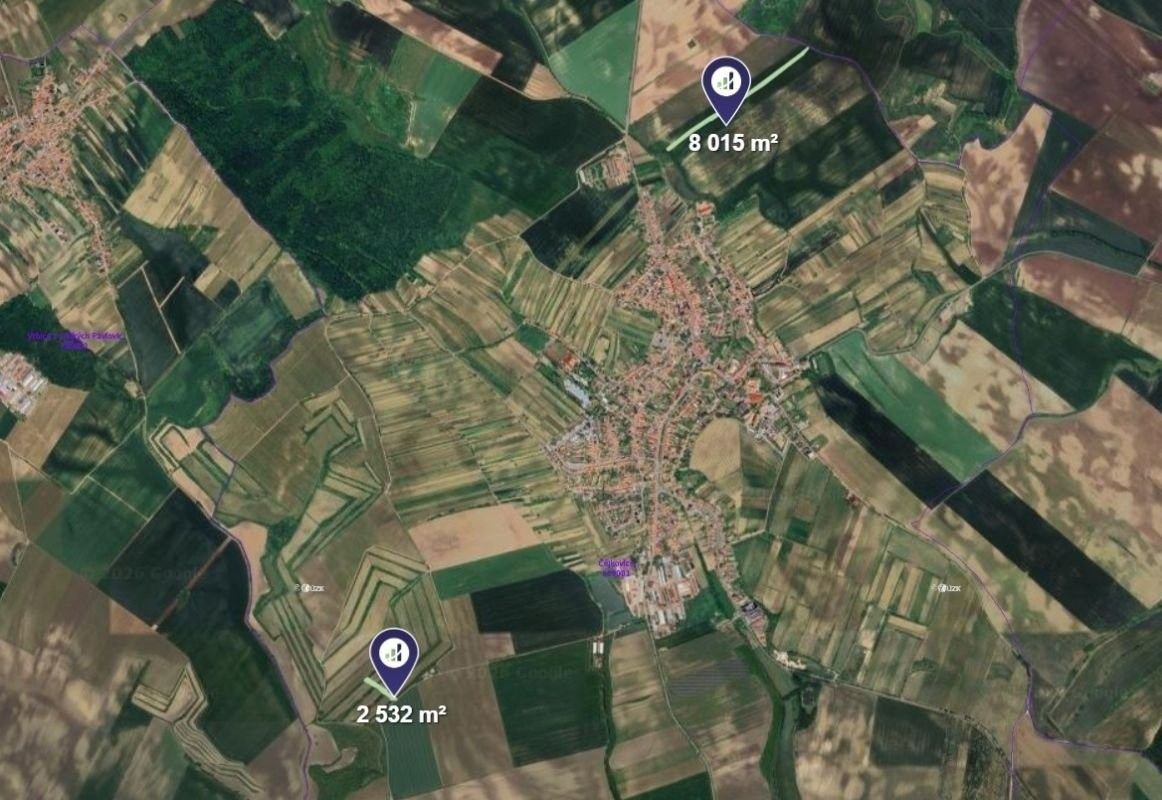 Zemědělský pozemek · Čejkovice - 3