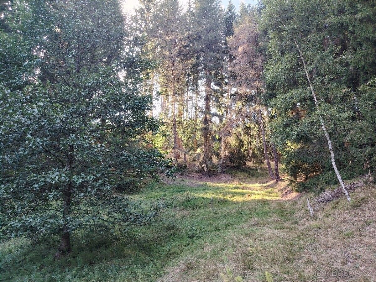 Pozemky pro bydlení, Kraslice, 358 01