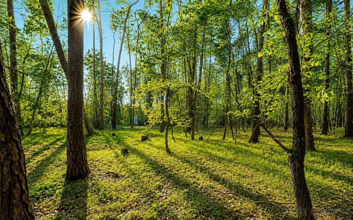 Pozemky pro bydlení, Sadská, 289 12 - 2