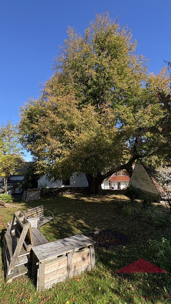 Prodej rodinný dům - Strašín - Maleč, okres Klatovy, 200 m² - 5