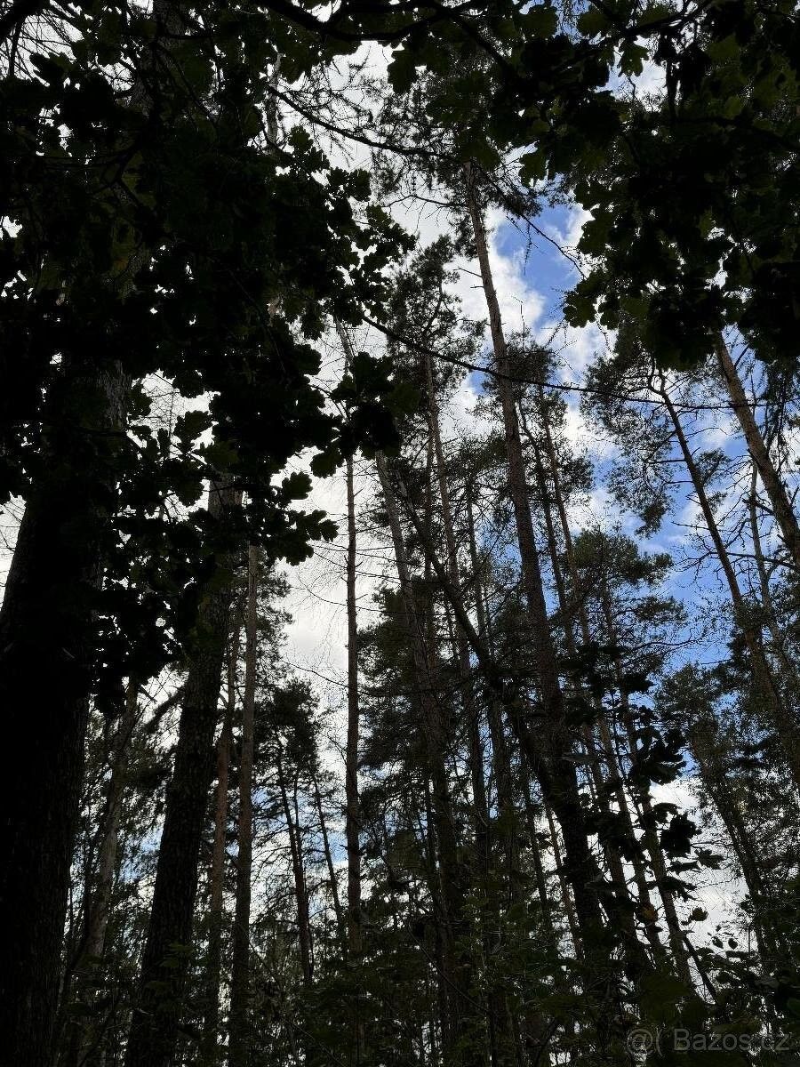 Pozemky pro bydlení, Herálec u Havlíčkova Brodu, 582 55