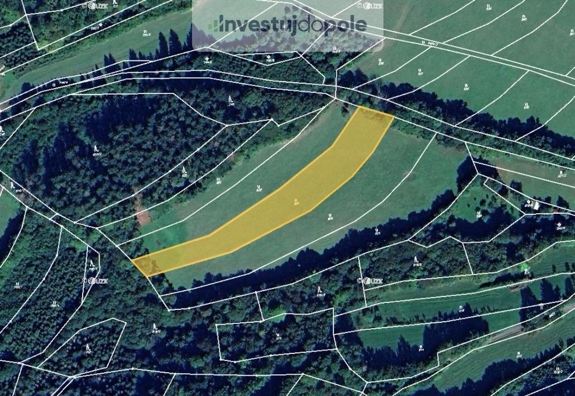 Prodej louka - Valašská Polanka, 756 11, 4 547 m²