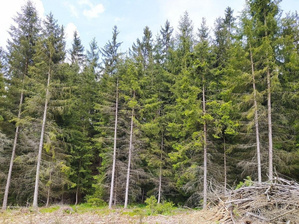 Ostatní, Černovice u Tábora, 394 94