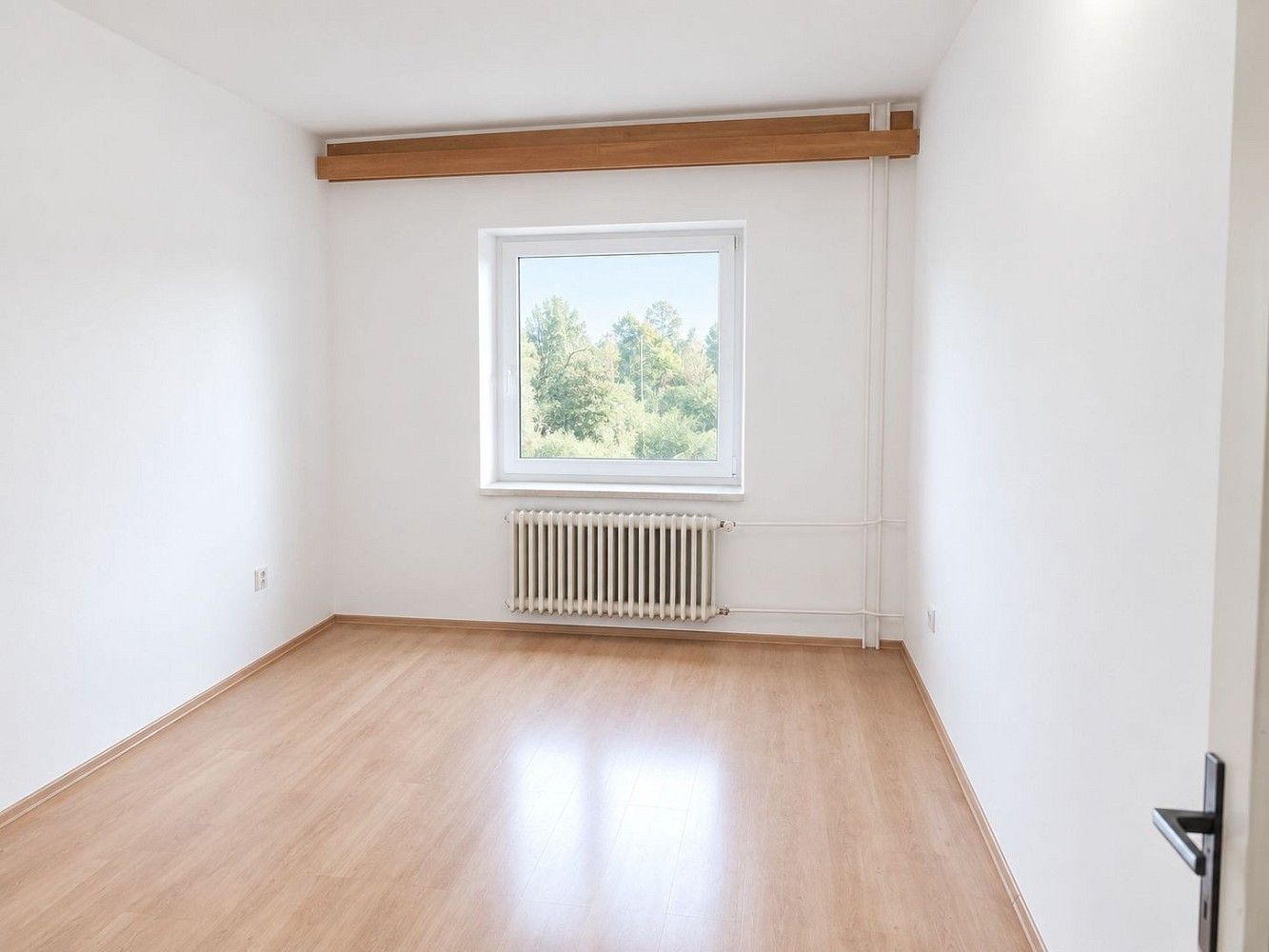 1+kk, Olešná, okres Písek, Jihočeský kraj, 21 m² - 1