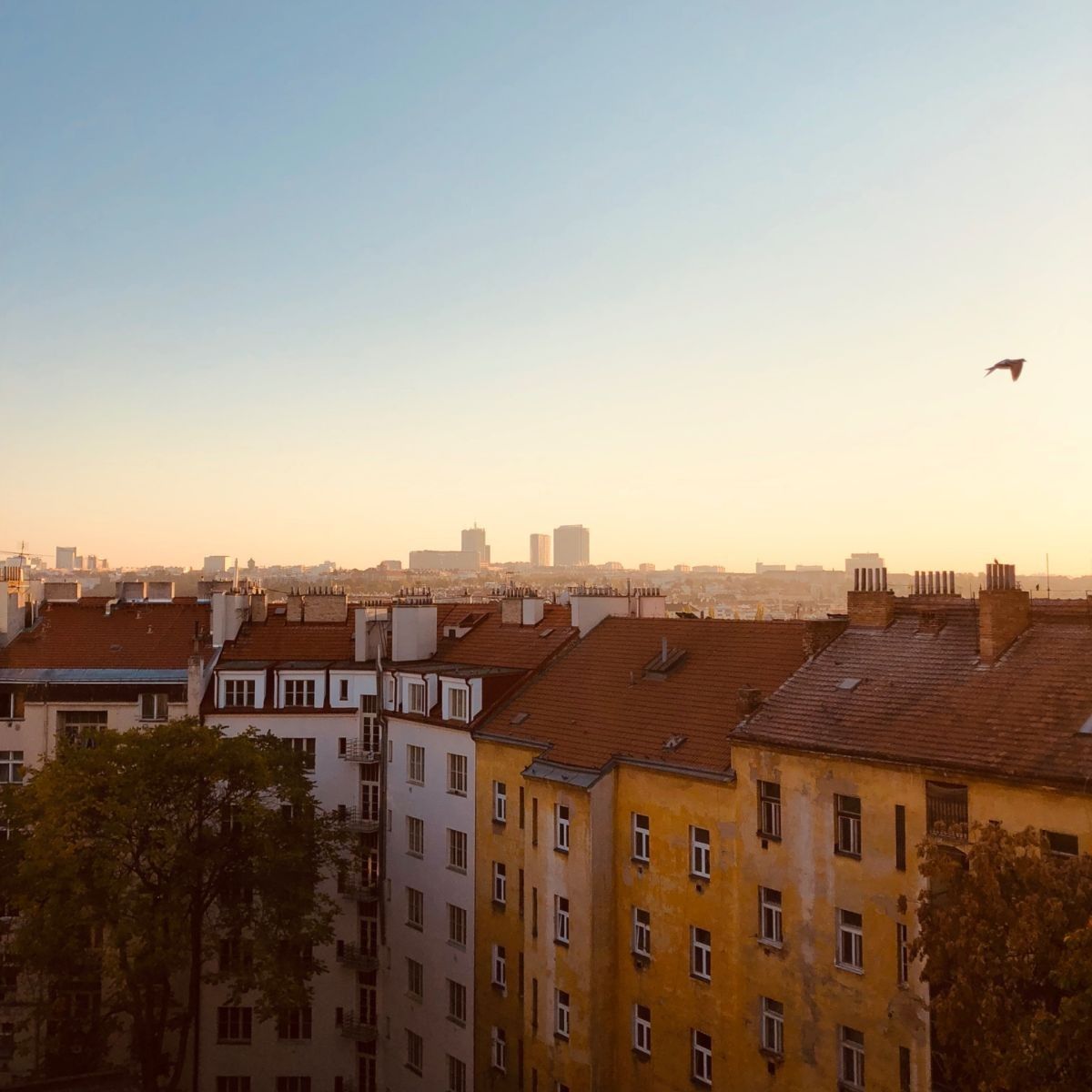 1+kk, Moskevská, Praha - Vršovice, 43 m² - 1