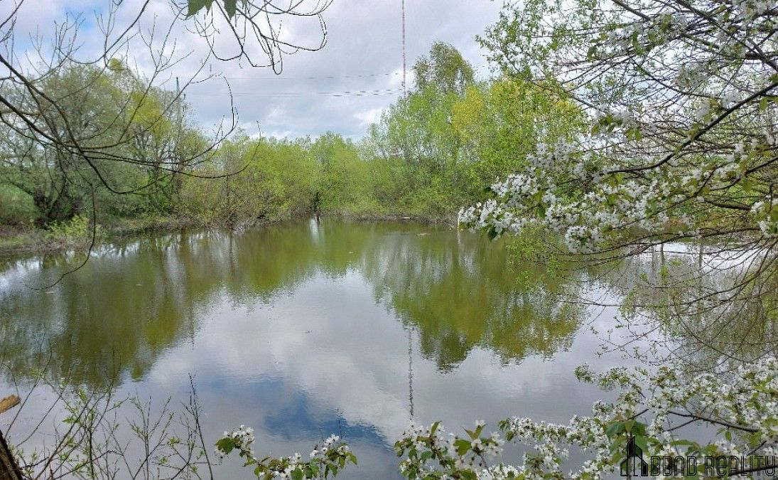 Rybník · Krásensko, okres Vyškov, Jihomoravský kraj - 3