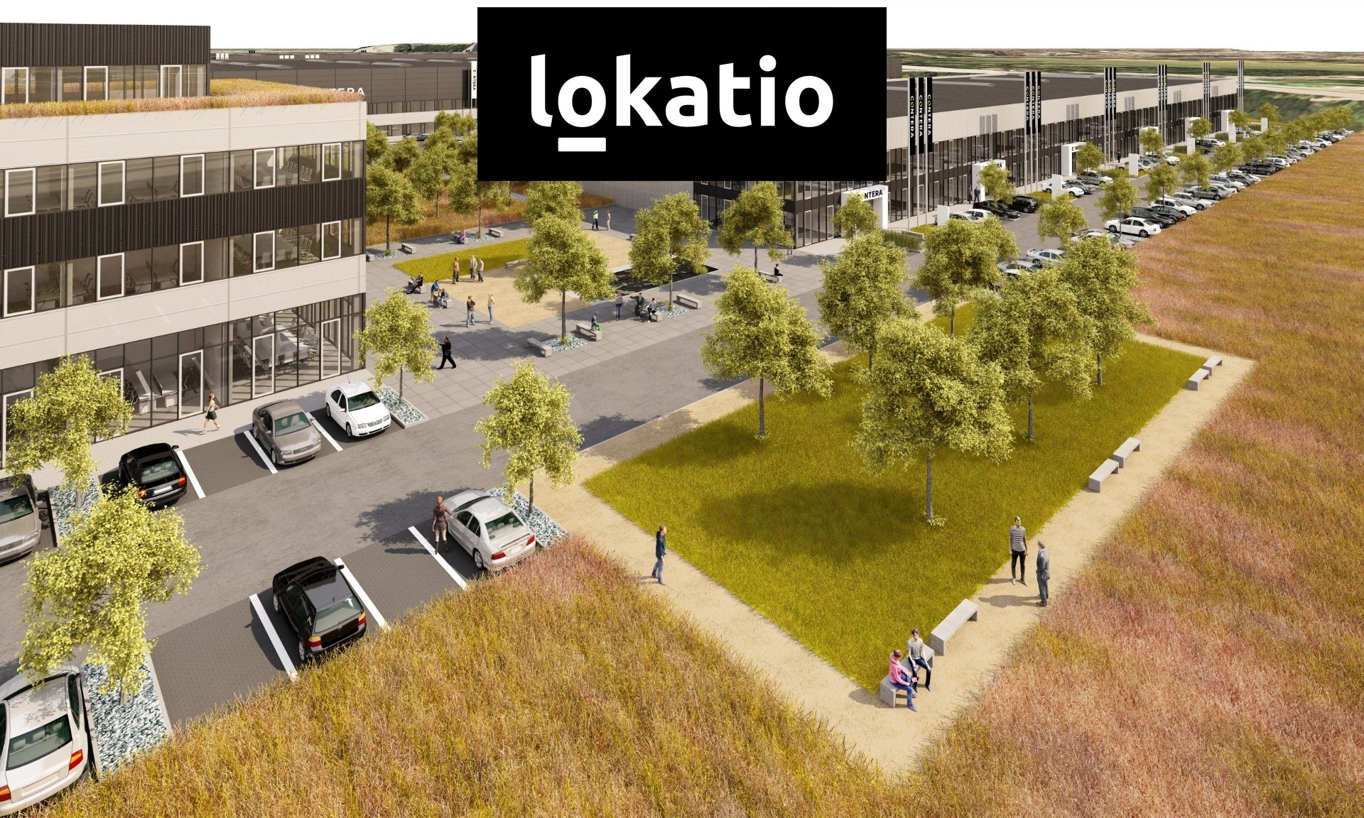 Pronájem sklad - Bohumínská, Ostrava, 13 500 m² - 5