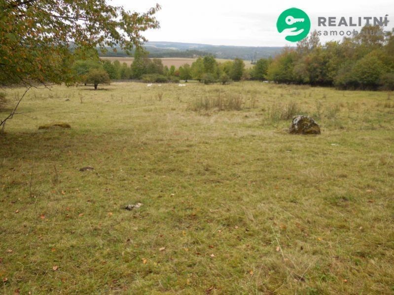 Pozemek pro bydlení · 4 000 m² · Dlouhé Hradiště, Konstantinovy Lázně - 3