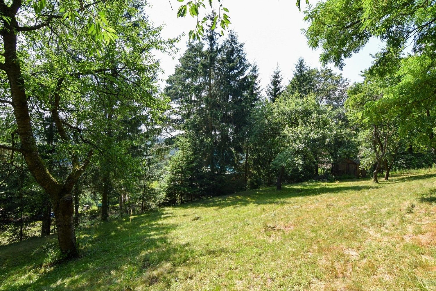 Zahrada · Stříbrná Skalice, okres Praha-východ, Středočeský kraj - 3