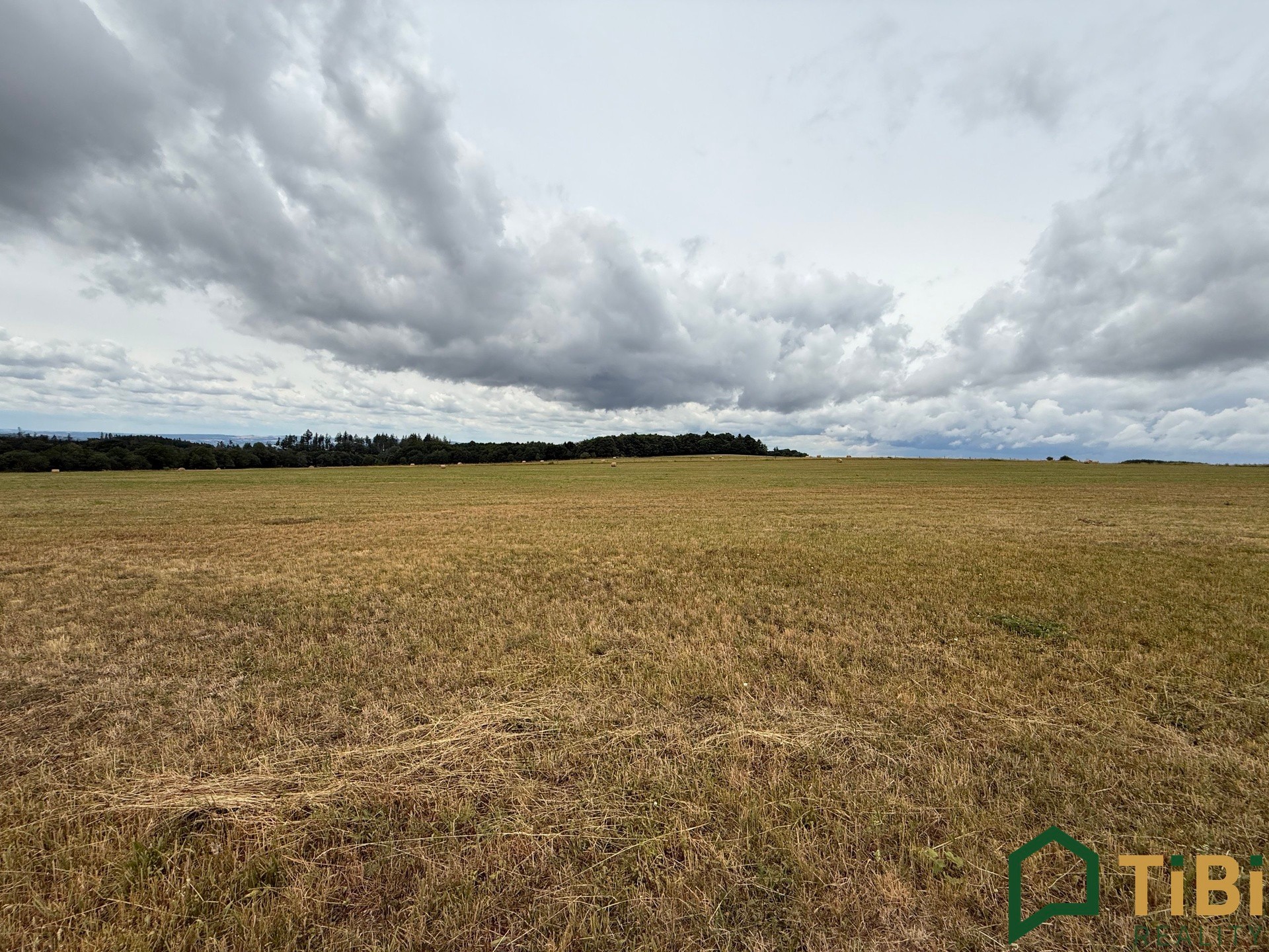 Zemědělský pozemek · 2 000 m² · Suchý - 3