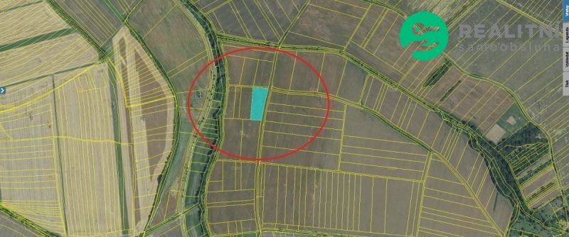 Prodej zemědělský pozemek - Lubná, 5 000 m²
