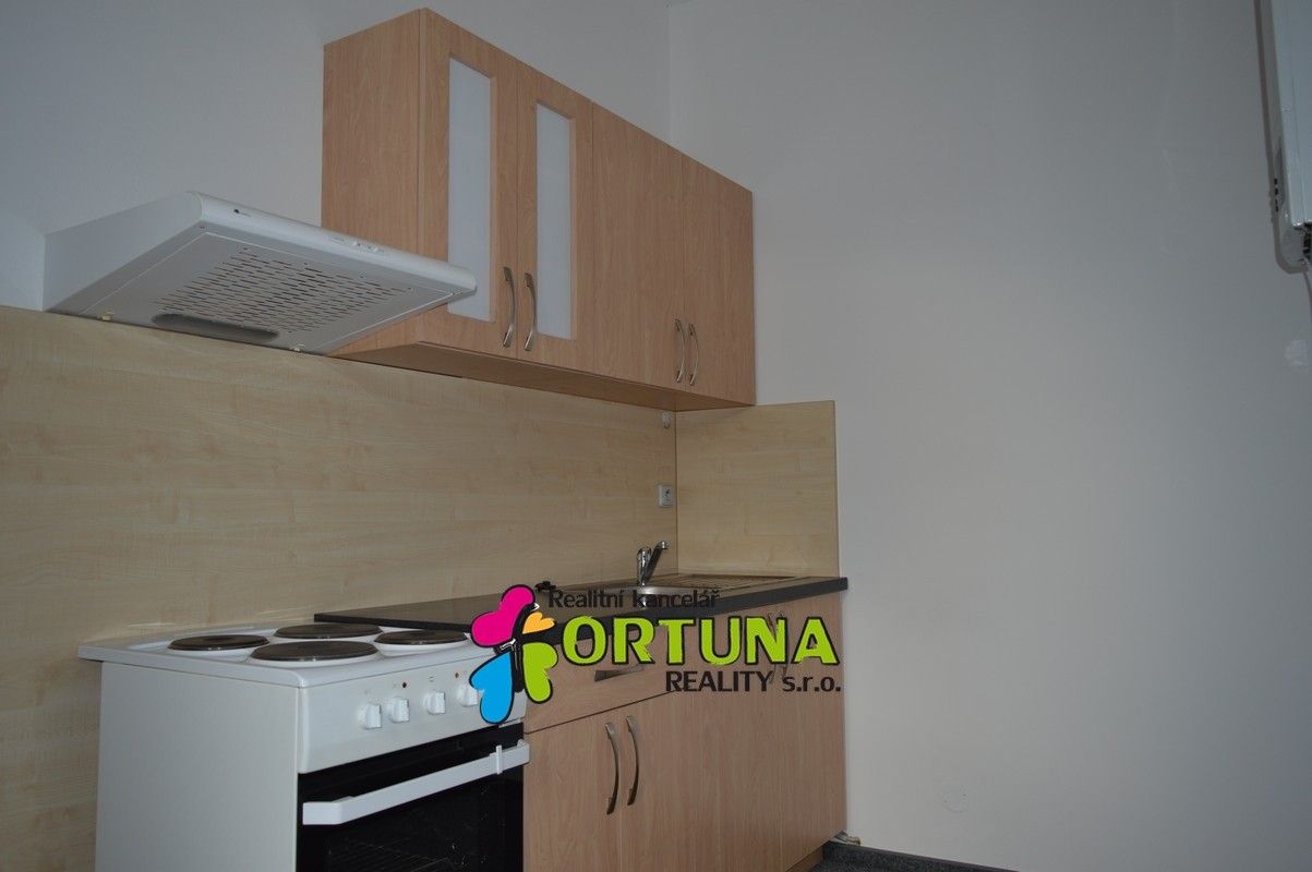 1+1, Mánesova, České Budějovice, 42 m²