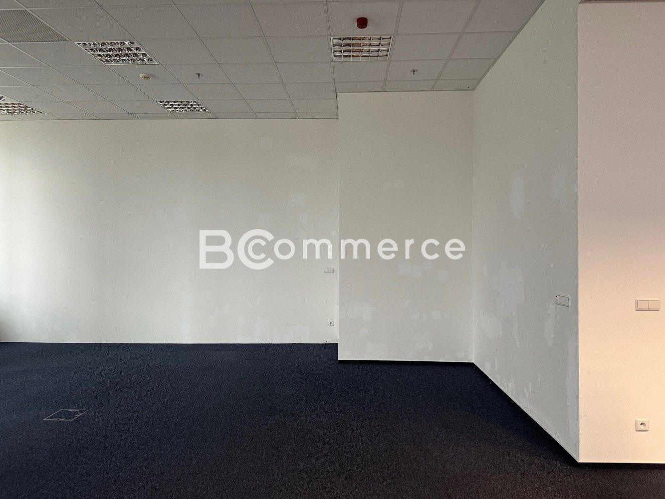 Pronájem kancelář - Brno - Starý Lískovec, okres Brno-město, Jihomoravský kraj, 780 m² - 5