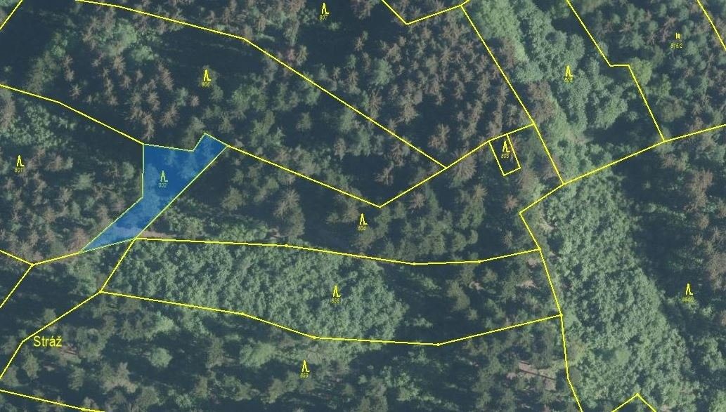 Prodej les - Horní Lideč, 756 12