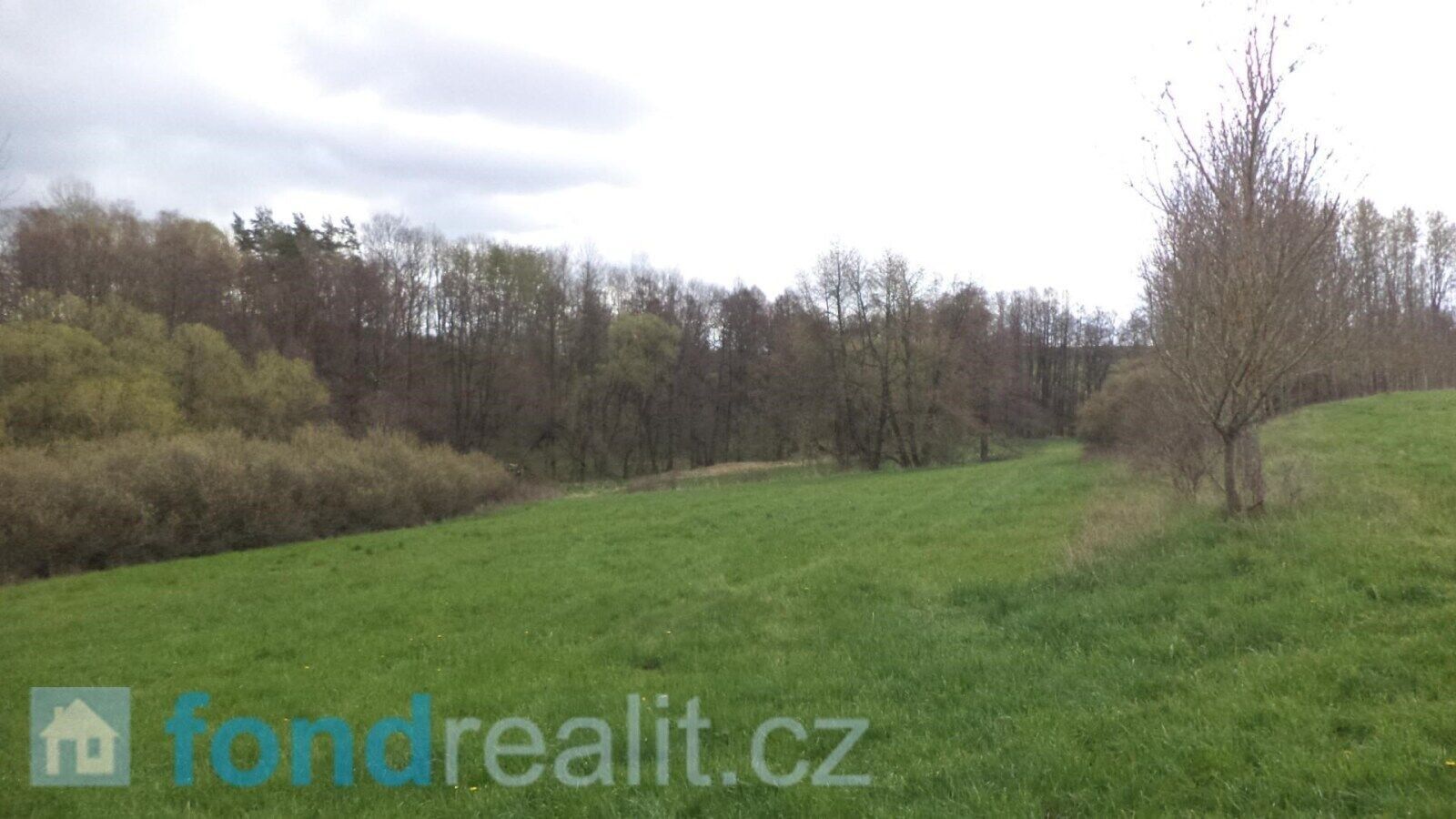 Zemědělské pozemky, Tachov, 55 m²