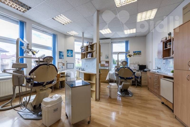 Rodinné domy, Humpolecká, Havlíčkův Brod, 380 m²