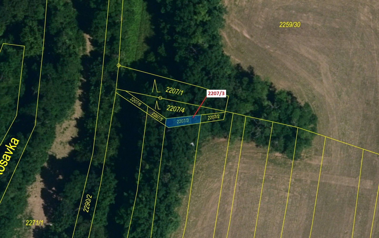 Prodej les - Horní Dunajovice, okres Znojmo, Jihomoravský kraj - 2