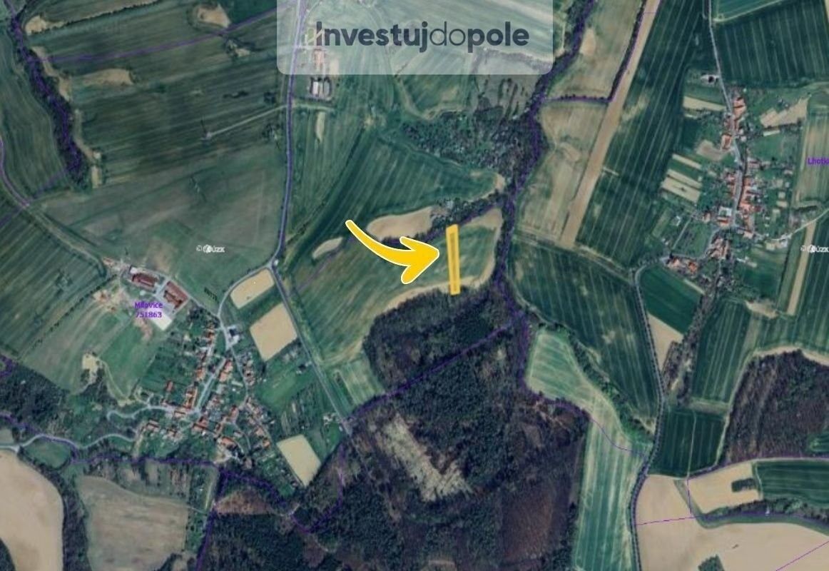 Prodej zemědělský pozemek - Soběsuky, 3 446 m²