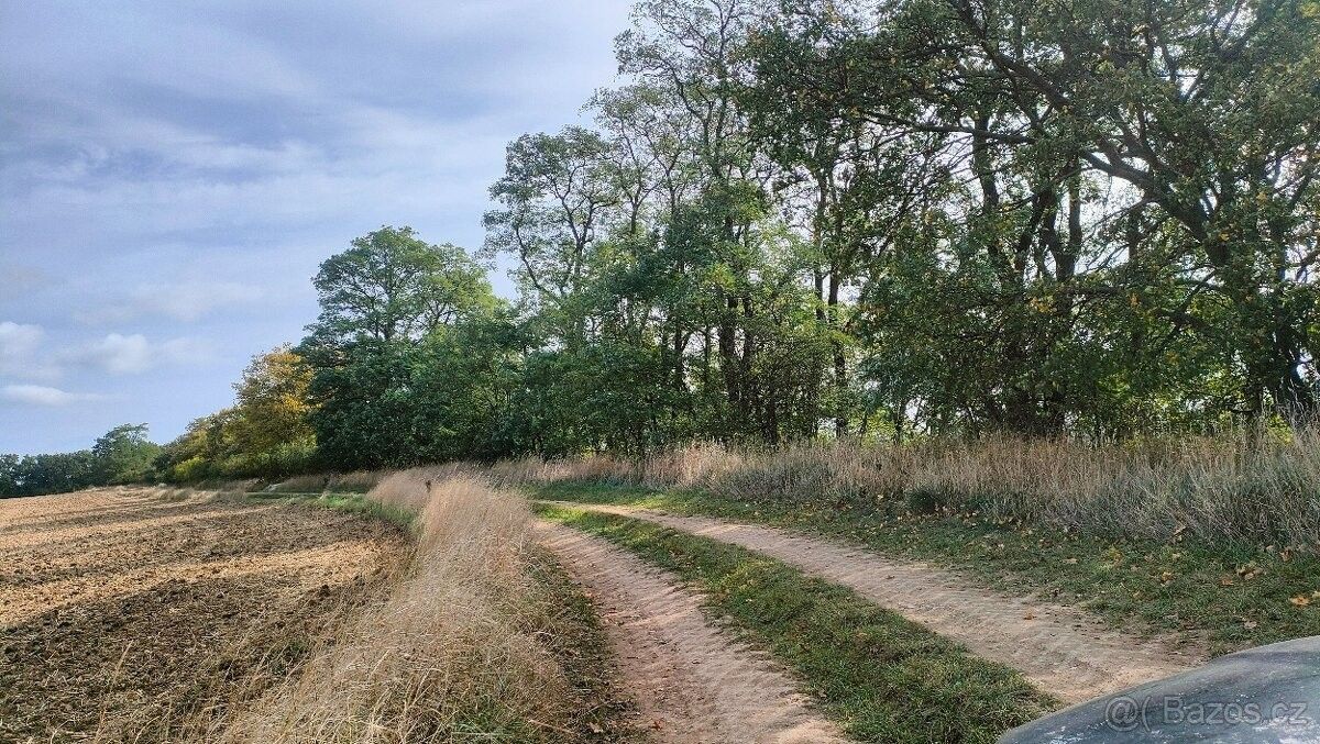 Pozemky pro bydlení, Spomyšl, 277 05