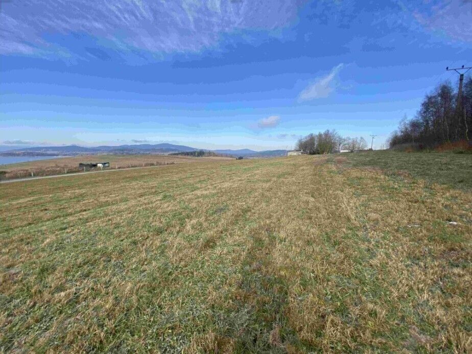 Zemědělské pozemky, Černá v Pošumaví Bližná, 2 972 m² - 2