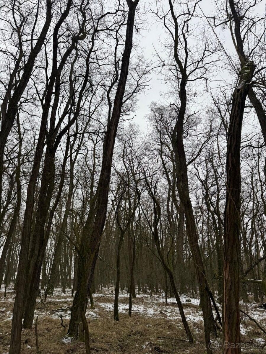 Pozemky pro bydlení, Roudnice nad Labem, 413 01