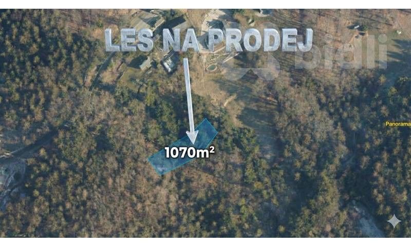 Lesy, Šumburk nad Desnou, Tanvald