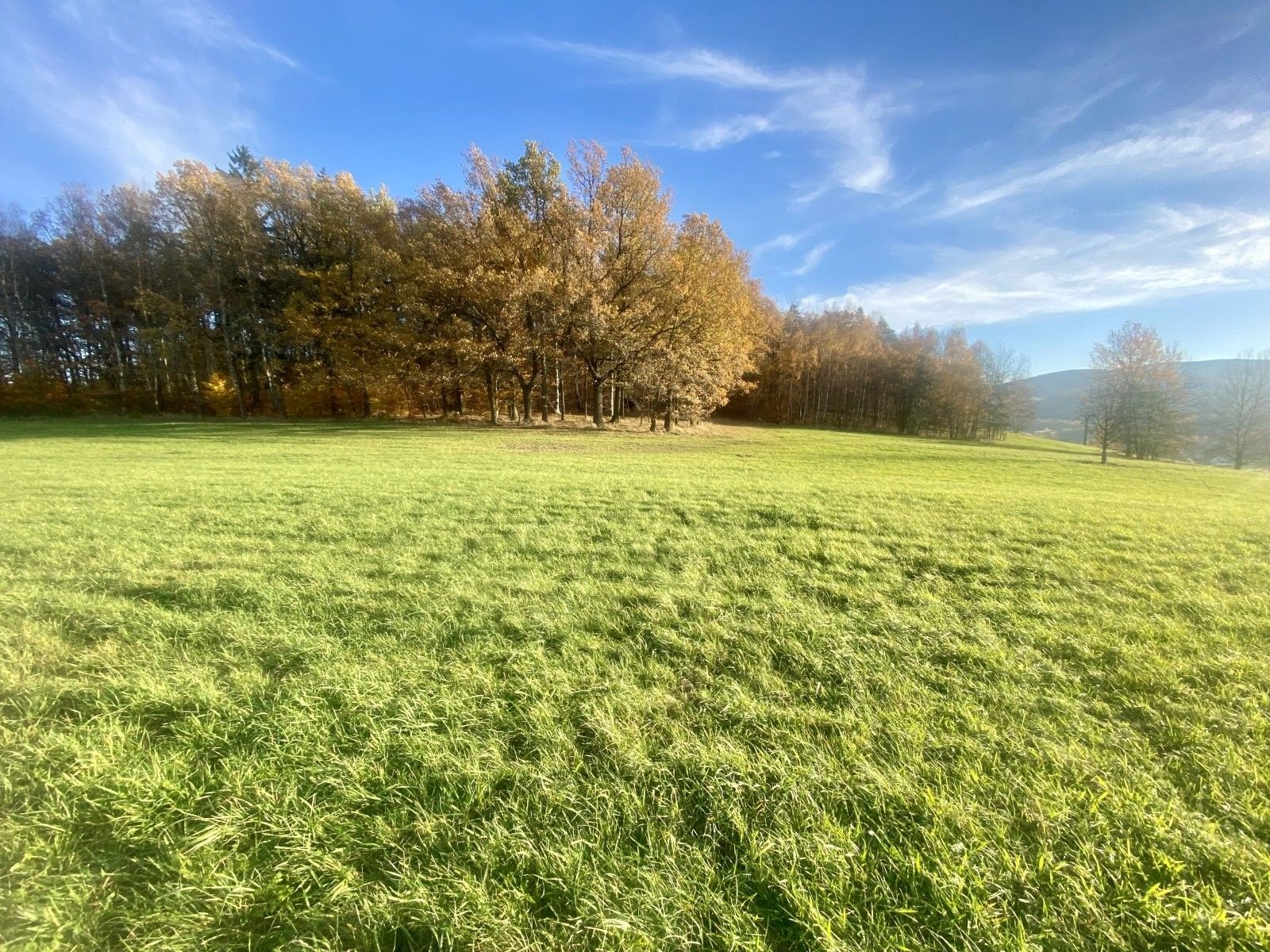 Prodej louka - Mníšek, 33 698 m²