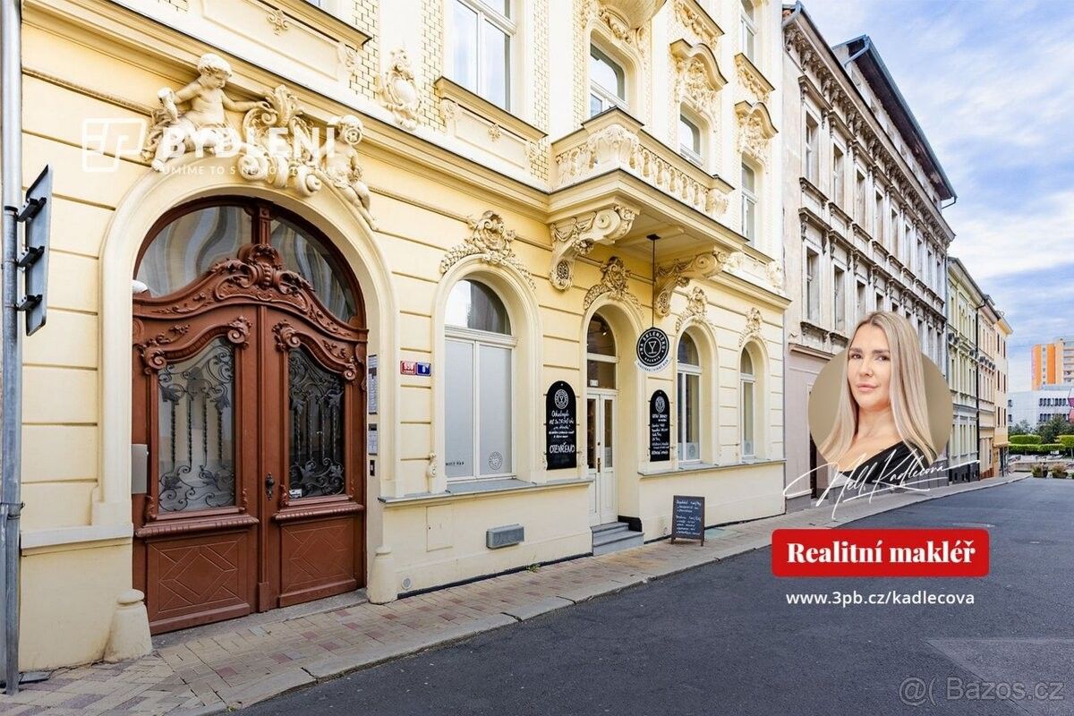 Restaurace, Teplice, 415 01