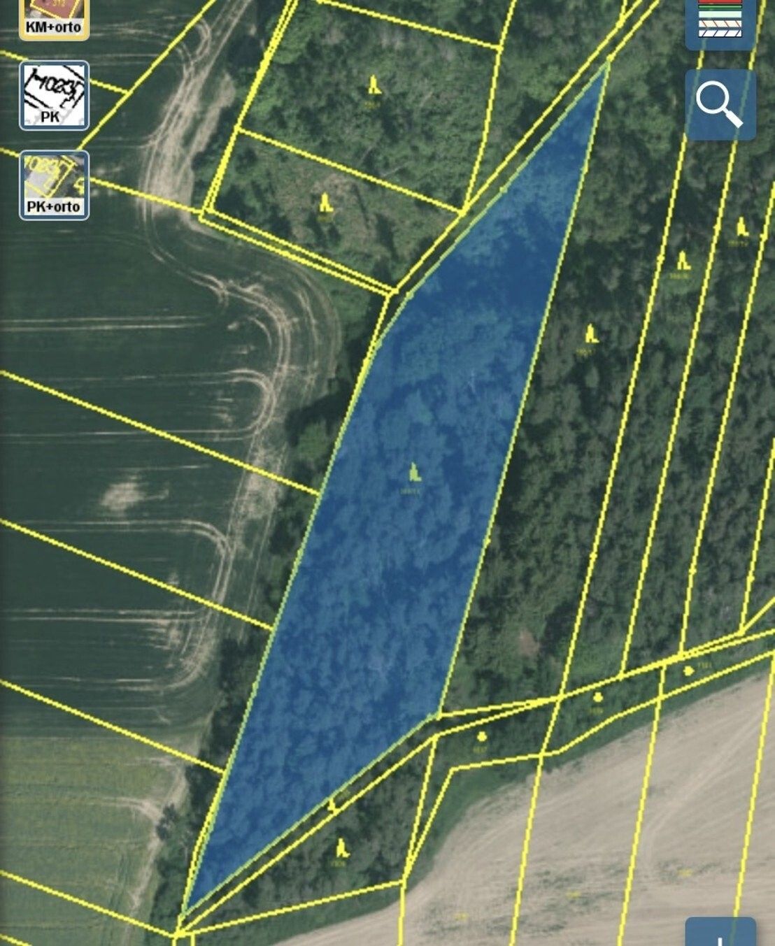 Prodej les - Blížejov