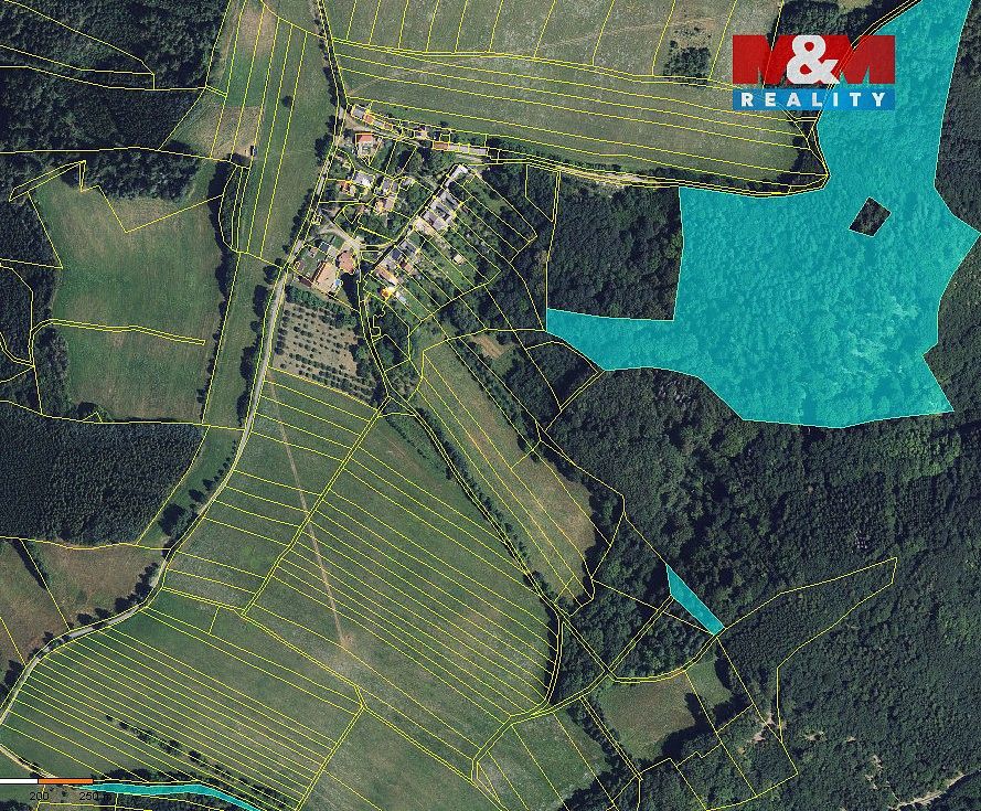 Les · Městečko Trnávka - Stará Roveň, okres Svitavy, Pardubický kraj - 4