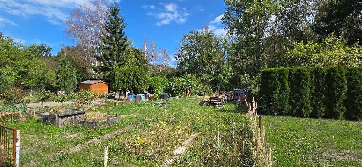 Pronájem zahrada - Rybitví, 533 54 - 5