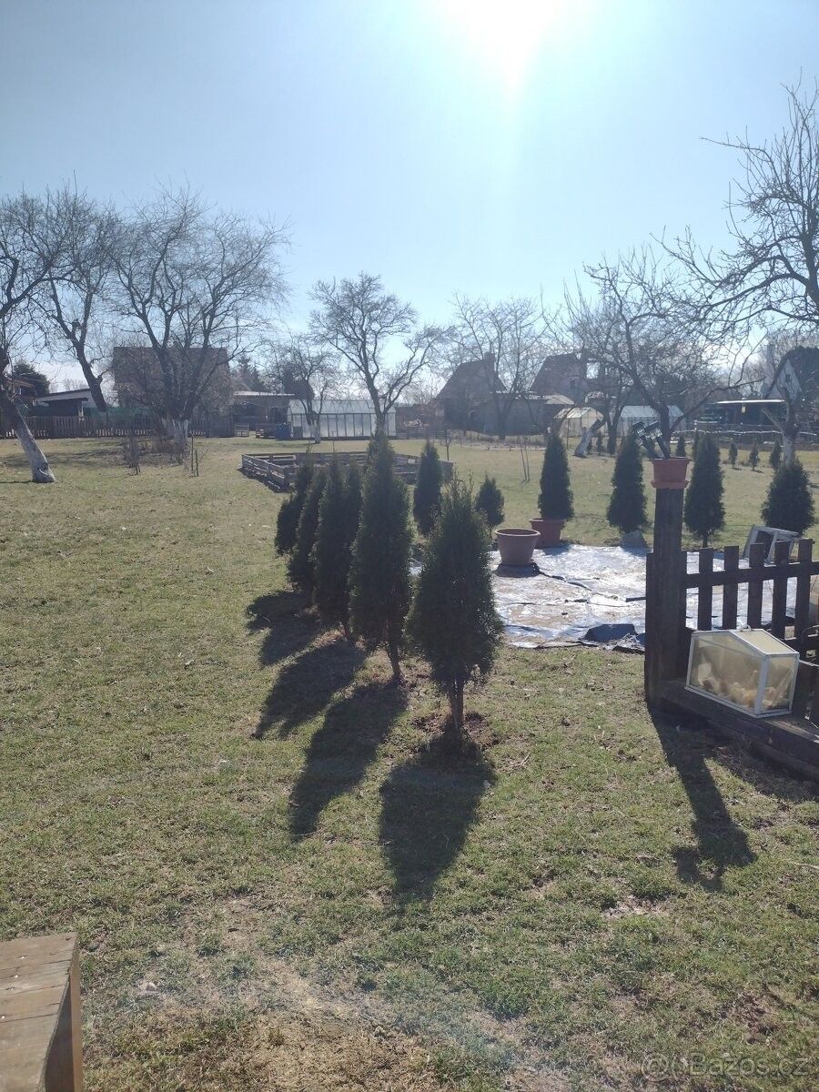 Prodej zahrada - Svitavy, 568 02