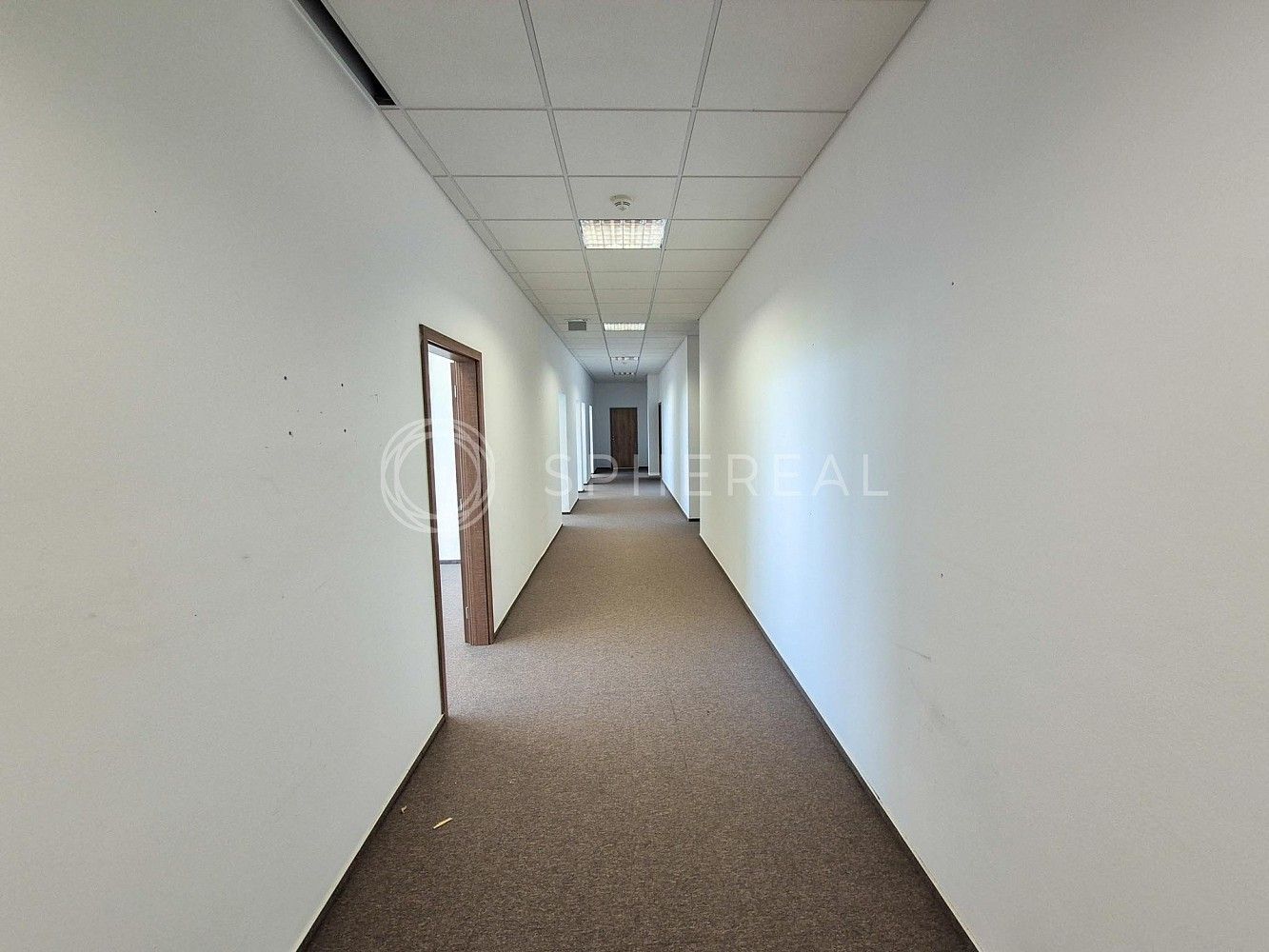 Pronájem kancelář - Brno - Štýřice, okres Brno-město, Jihomoravský kraj, 237 m² - 5