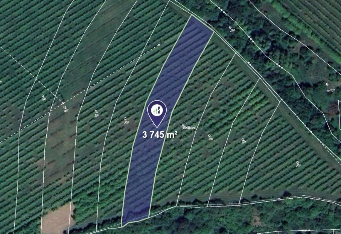 Ostatní, Horní Loučky, 3 745 m²