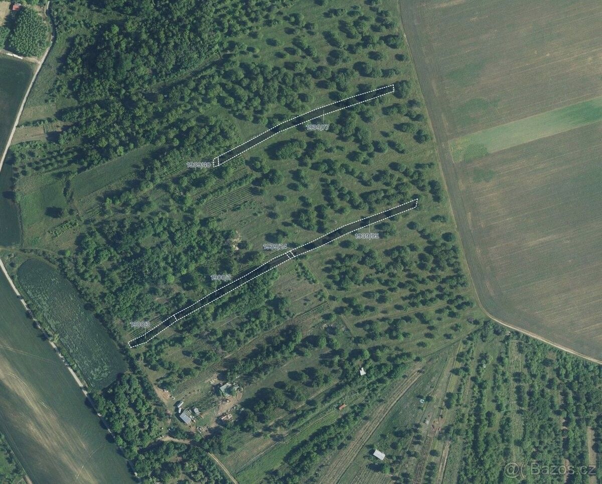 Prodej pozemek pro bydlení - Boleradice, 691 12