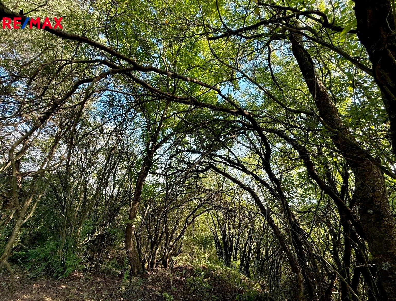 Prodej zahrada - Bílovice nad Svitavou, 589 m²