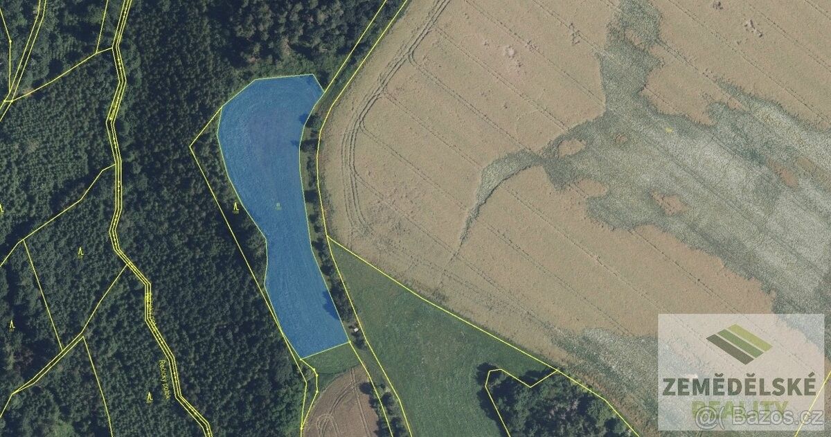 Prodej pozemek pro bydlení - Doubravice u Dvora Králové n/Labem, 544 51 - 5