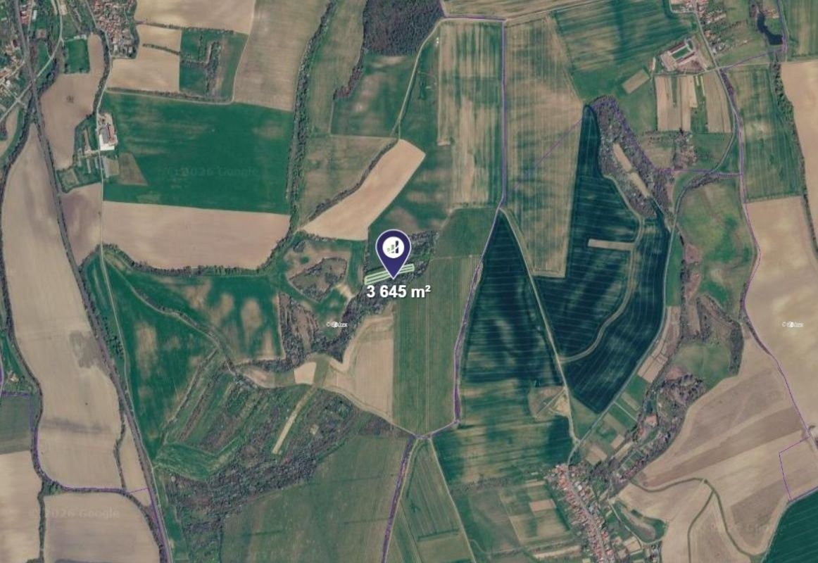 Les · 3 645 m² · Kyjov - 2