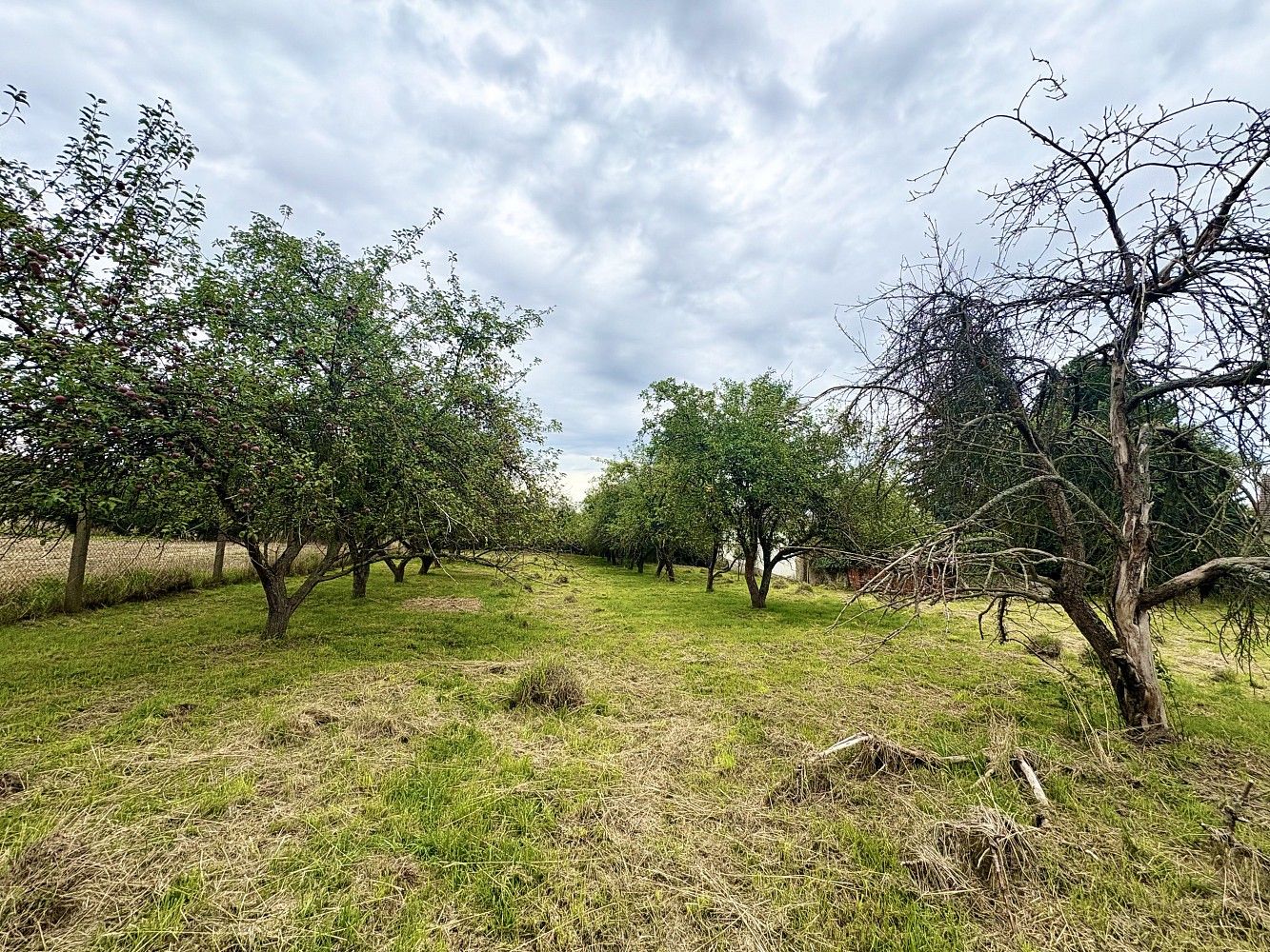 Rodinné domy, Křepenice, okres Příbram, 90 m² - 2