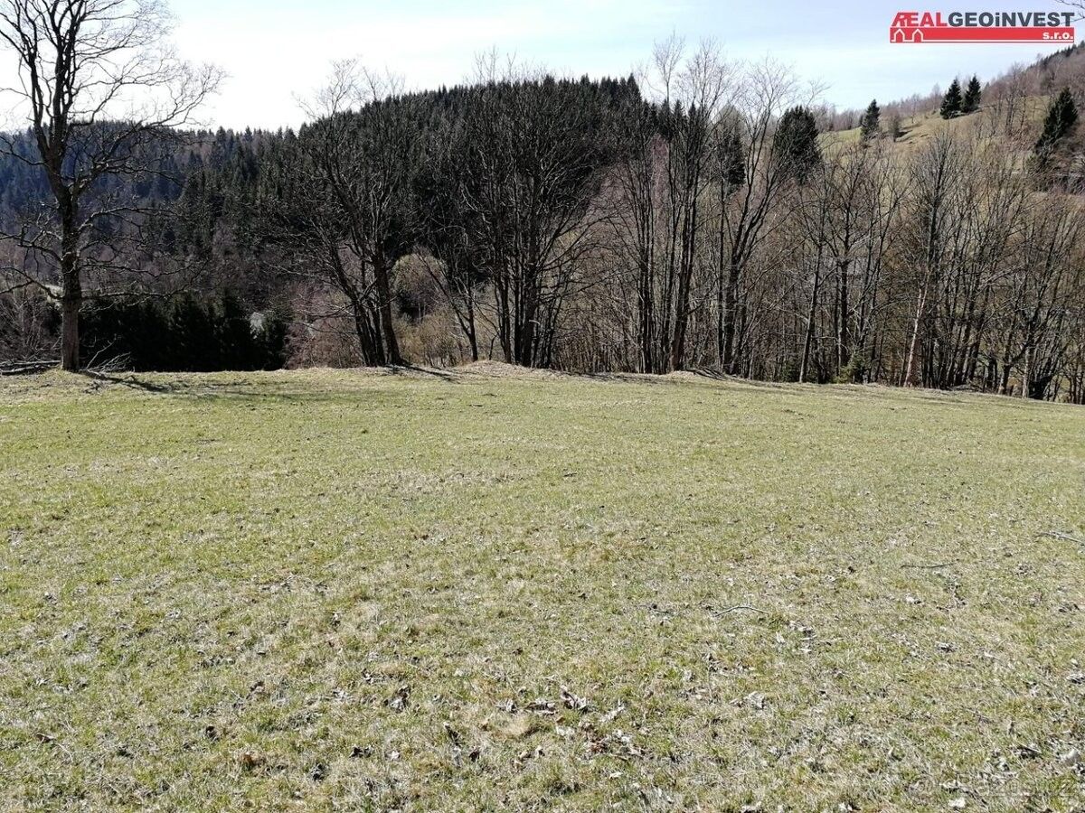 Ostatní, Staré Město pod Sněžníkem, 788 32 - 2