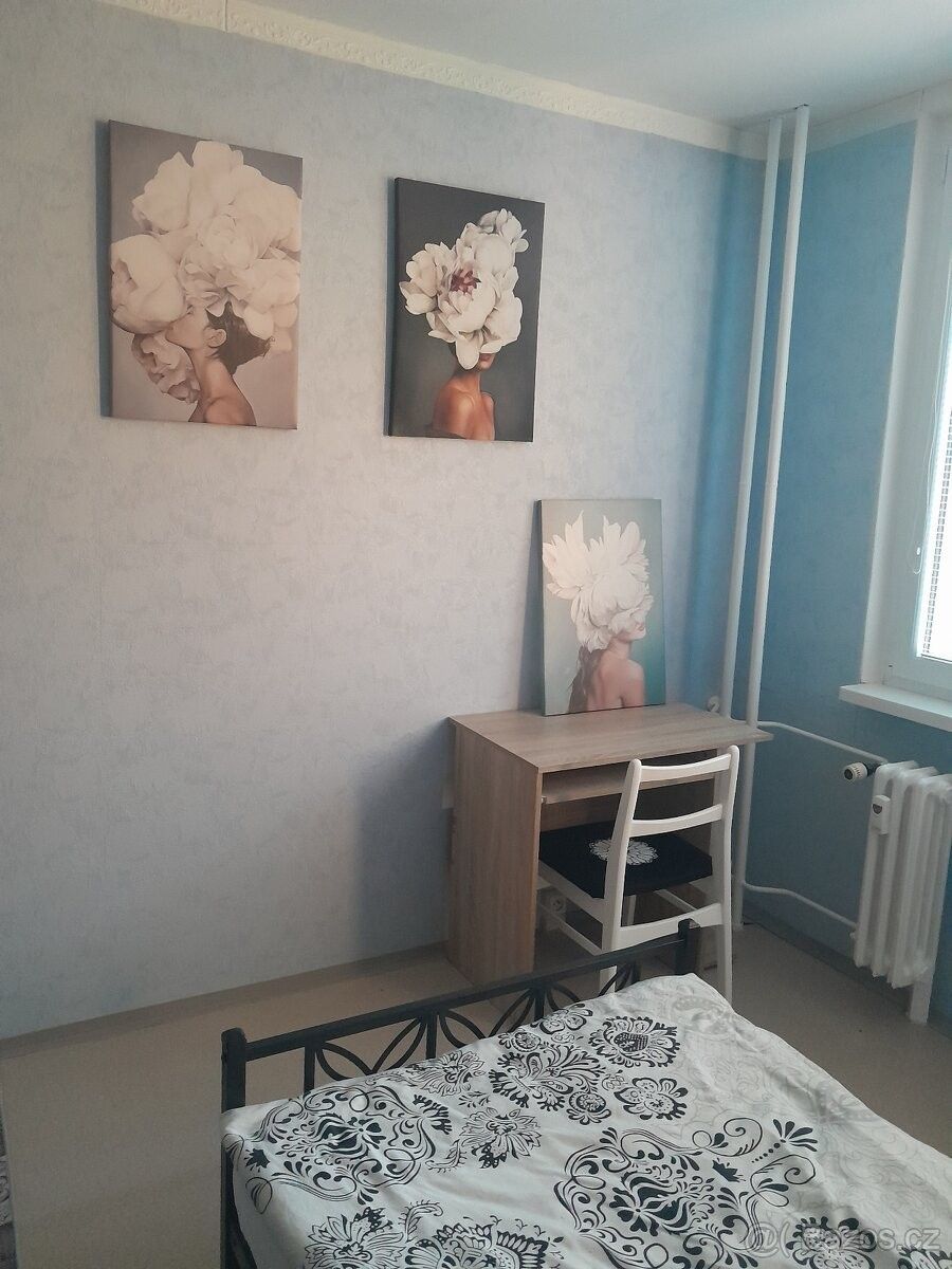Pronájem byt - Praha, 163 00