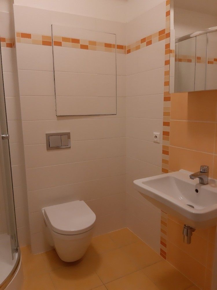 Pronájem byt 1+kk - Freyova, Praha - Vysočany, 33 m² - 5