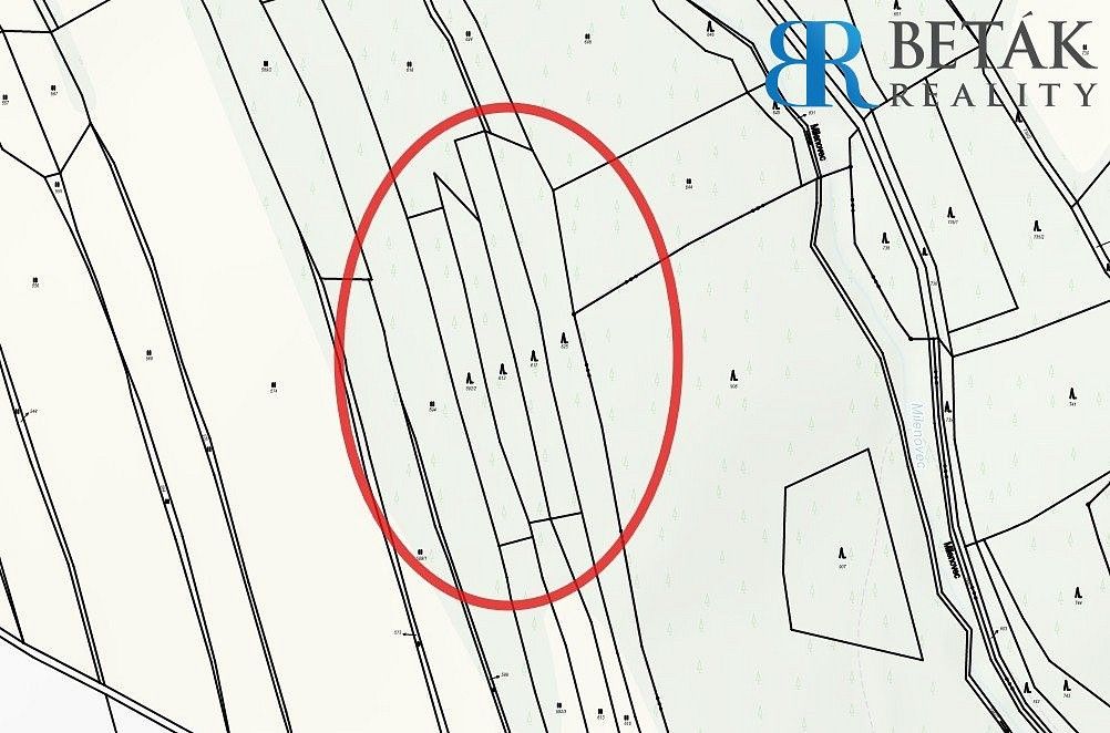 Les · Hranice - Hranice IX-Uhřínov, okres Přerov, Olomoucký kraj - 4