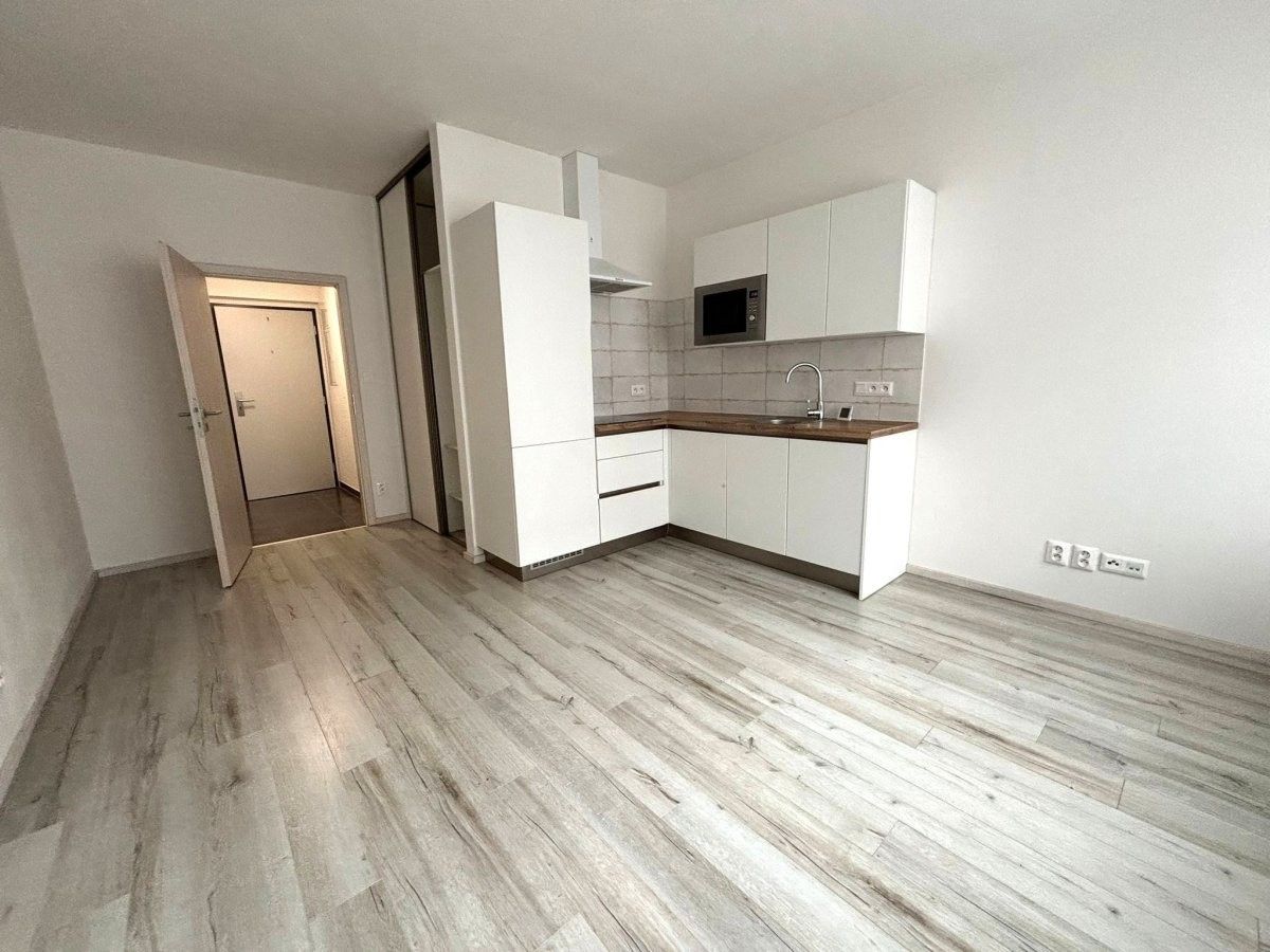 1+kk, Papírnická, Plzeň, 29 m²