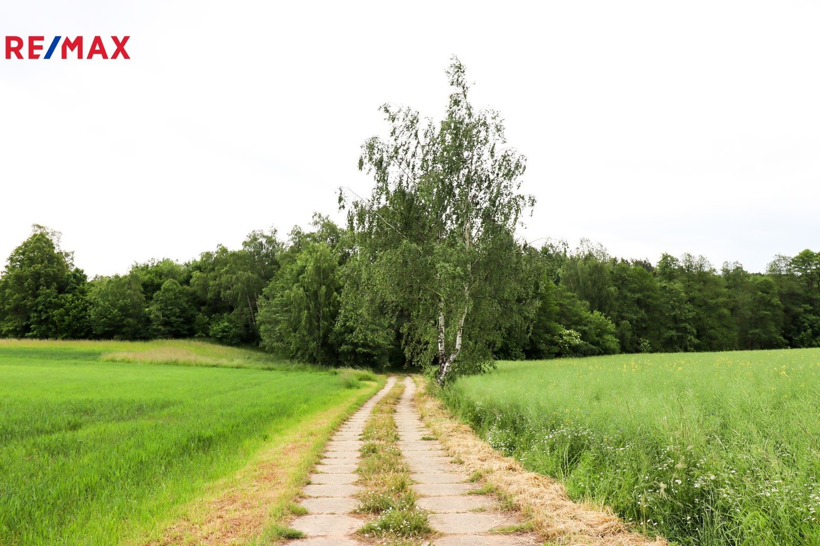 Prodej pozemek pro bydlení - Hadina, Čejov, 190 m²