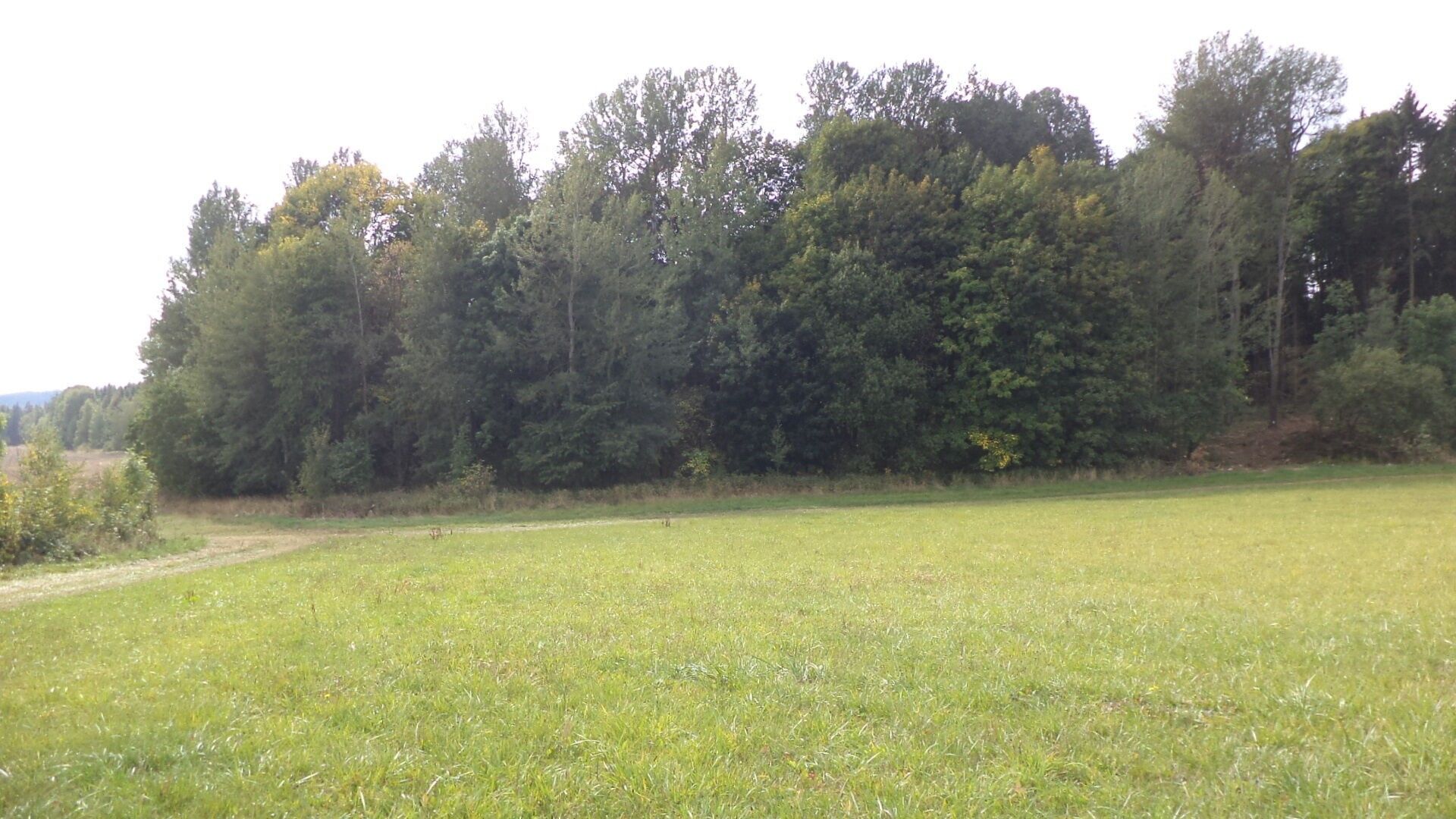 Zemědělské pozemky, Tachov, 5 912 m² - 2