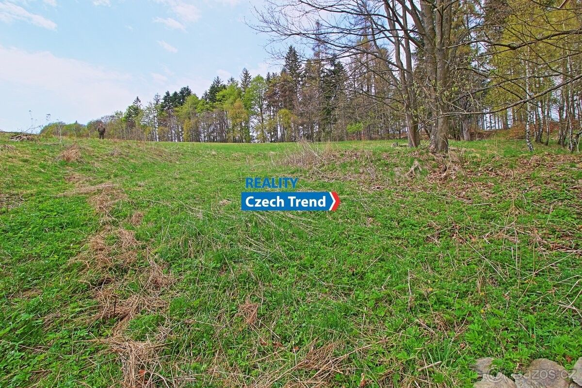 Prodej pozemek pro bydlení - Břidličná, 793 51