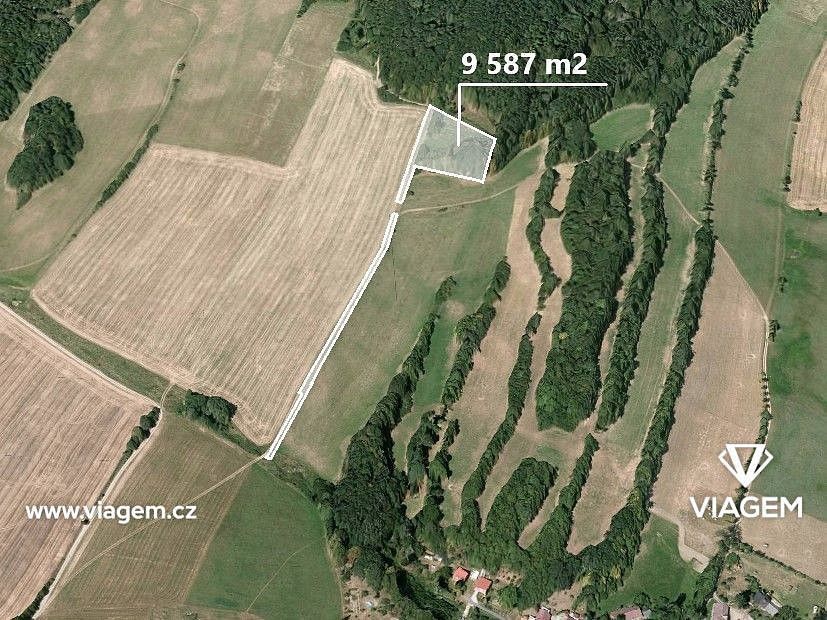 Lesy, Liptaň, okres Bruntál, Moravskoslezský kraj - 1